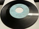Ronny & Satellites 1959 DOOWOP 45 Dream Of You / Last Night I Dreamed ROSE HEAR