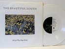 THE BEAUTIFUL SOUTH i'll sail this ship alone (white vinyl) 10 INCH EX/EX GODT38
