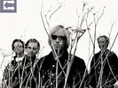 Tom Petty and the Heartbrea... Echo VINYL LP NEW