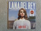 Vinyl 12