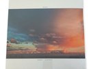 Moby - Hotel Ambient 2 x LP - Vinyl Album - SEALED NEW RECORD