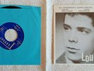 Lou Reed pre-Velvet Underground: THE JADES
