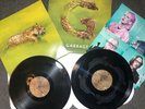 GARBAGE Strange Little Birds Double Vinyl Lp Gatefold Side D Etched STNVOL024LP