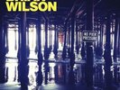 No Pier Pressure by Brian Wilson (Vinyl, Apr-2015, 2LP, Capitol) *NEW* FREE Ship