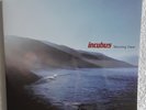 Incubus Morning View 2 LP 180g Clear Vinyl Limited Edition #000231 NM