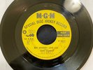 BURT WARD FRANK ZAPPA ORANGED COLORED SKY  BOY WONDER I LOVE YOU GARAGE ROCK
