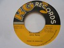 JUNIE RANKS DJ Remedy RG Digi Reggae 7