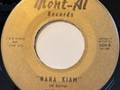 BARRY PETRI Nana Kiam OBSCURE GREASY R&B ROCKER b/w TEEN 45 *hear*