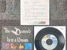 The Damned Is It A Dream Rare German PR Promo 7