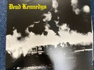 DEAD KENNEDYS  Fresh Fruit For Rotting Vegetables Vinyl LP (1981)SP 70014 EX/VG+