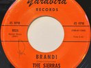 SIERRAS Brandi/You Cannot Untell a Lie OBSCURE SWEET SOUL/GARAGE 45 *hear*
