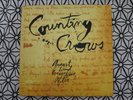 COUNTING CROWS August And Everything After 1992 ORIGINAL NEAR MINT INSERT