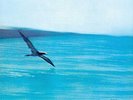 A602527278841 Chick Corea - Return To Forever 180 Gram Vinyl Record