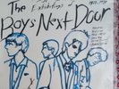The Boys Next Door. The Lost & Brave Exhibitions. 1977-1979. Vinyl LP. Nick Cave