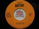 Rare  Getup: Florida's The Place I Long To Be / My Dunnellon, 45 RPM, VG (3I)