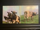 Atom Heart Mother By Pink Floyd Vinyl Album SKAO-382