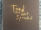 Toad The Wet Sprocket - Vinyl Box Set Record Store Day
