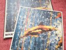 The Stone Roses - What The World Is Waiting For / Fool's Gold 12