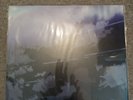 LP Kimi no Na wa (Your Name) Vinyl RADWIMPS 12 inch Limited Edition
