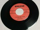 Revolution Revolt A Guide For Living Rare Garage Psych 45 1969 North Carolina