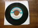 SILAS HOGAN Just Give Me A Chance OG US 45 R&B BLUES SOUL excello EX *LISTEN*