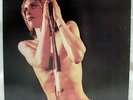 Iggy And The Stooges 