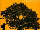 Jack Johnson - In Between Dreams (Vinyl LP - 2005 - US - Original)