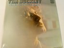 TIM BUCKLEY - Blue Afternoon - New, Sealed Vinyl LP Record Album