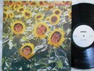 SUNNYBOYS Individuals LP WL PROMO Test Pressing?? MUSHROOM AUSTRALIA   VERY RARE