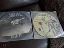 nirvana picture disc lot