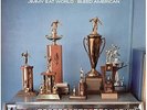 JIMMY EAT WORLD - BLEED AMERICAN - Vinyl Record.. - L7351L
