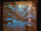 Hum Downward Is Heavenward Blue Vinyl Sealed