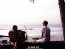 Kings Of Convenience - Declaration Of Dependence [VINYL]