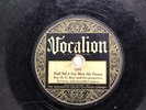 Prewar Gospel 78 Rev. D.C. Rice Shall Not A Dog Vocalion 1201