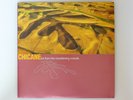 CHICANE FAR FROM THE MADDENING CROWDS VINYL LP ALBUM 0091371 EXT