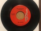THE MISFITS • The Magician • 1966? GARAGE ROCK  North Carolina