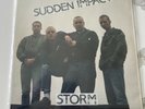 Sudden Impact Storm LP ROR Original ISD Oi Punk Noie Werte English Rose Battle