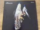 The Courteeners-Falcon 12