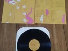 Clap Your Hands Say Yeah LP by Clap Your Hands Say Yeah