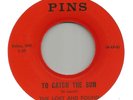 Arizona Garage PINS A-LF PRIVATE PRESSING THE LOST AND FOUND 
