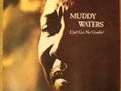 MUDDY WATERS Can't Get No Grindin' original 1973 UK 1st Chess LP NM