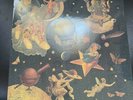 Mellon Collie and The Infinite Sadness by Smashing Pumpkins 4 LP Vinyl NM