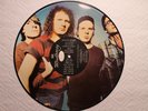 Mudhoney - Every Good Boy Deserves Fudge US Sub Pop #2500 PICTURE disc LP 1991
