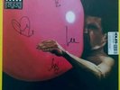 IDLES Ultra Mono Vortex Signed Vinyl.