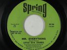 Northern Soul 45 - Little Eva Harris - Mr. Everything - Spring - mp3
