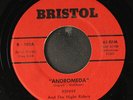 KENNY & NIGHT RIDERS: andromeda / swamp rat BRISTOL 7