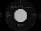 Modern Soul Boogie 45 - Wylie - Fan-Tasy - Kam Executive - VG++ mp3