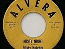 Misty Knights Misty Night / Contrary Mary 45 Obscure Surf Rock Alvera vg-/vg