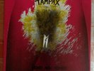 TAMPAX - Sorry Not Tonight