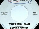 CASSIDY SISTERS WORKING MAN ROCK SURF GARAGE 45 SOUL ARCO RECORDS 7